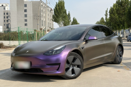 特斯拉 Model 3 2021款 标准续航后驱升级版