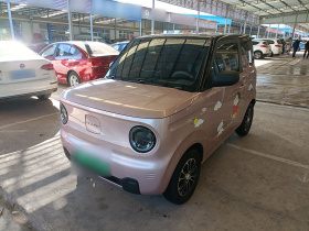 吉利银河 2024款 熊猫mini 200km 耐力熊