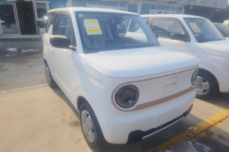 吉利银河 2024款 熊猫mini 200km 耐力熊车身外观3