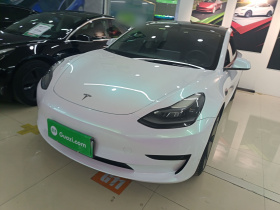 特斯拉 Model 3 2022款 后轮驱动版