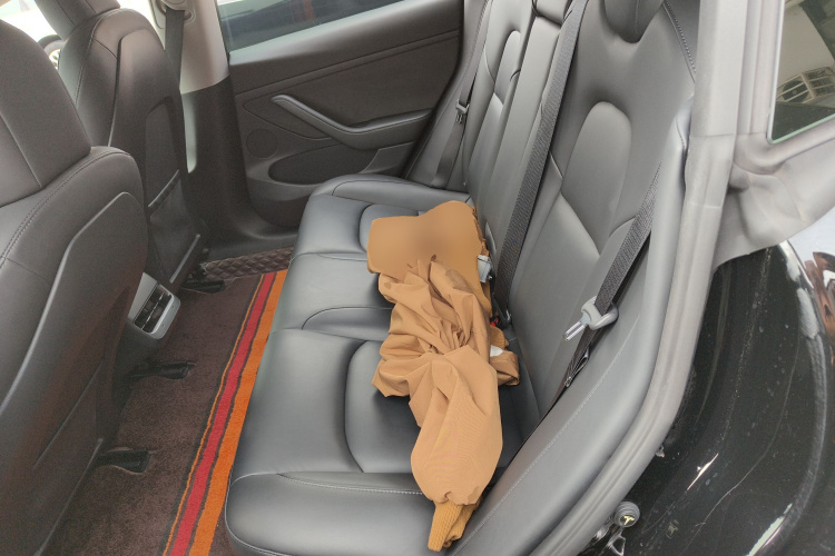 特斯拉 Model 3 2021款 标准续航后驱升级版 3D6中控内饰21