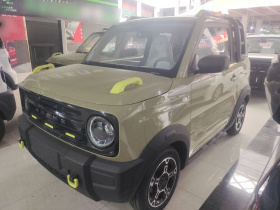 吉利银河 2025款 210km 熊猫骑士