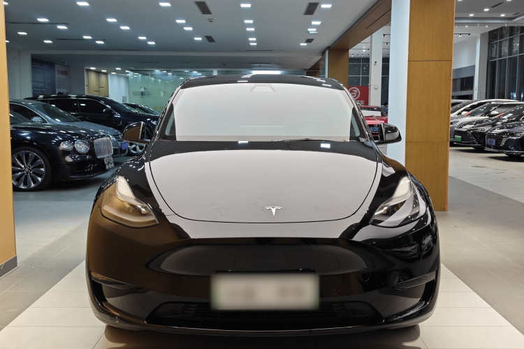 特斯拉 Model Y 2021款 标准续航后驱版车身外观6003