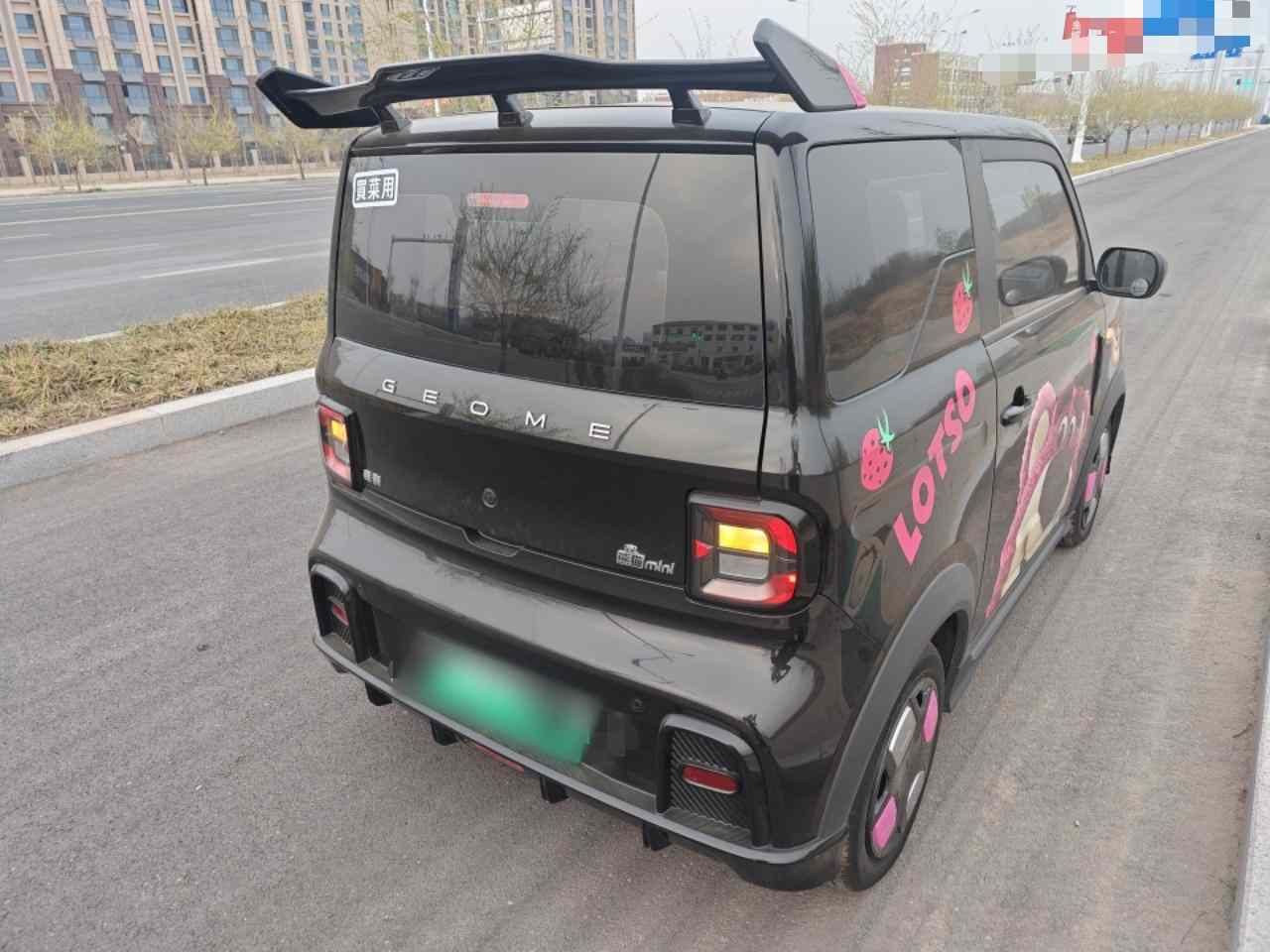 吉利银河 2024款 200km 熊猫卡丁(5)