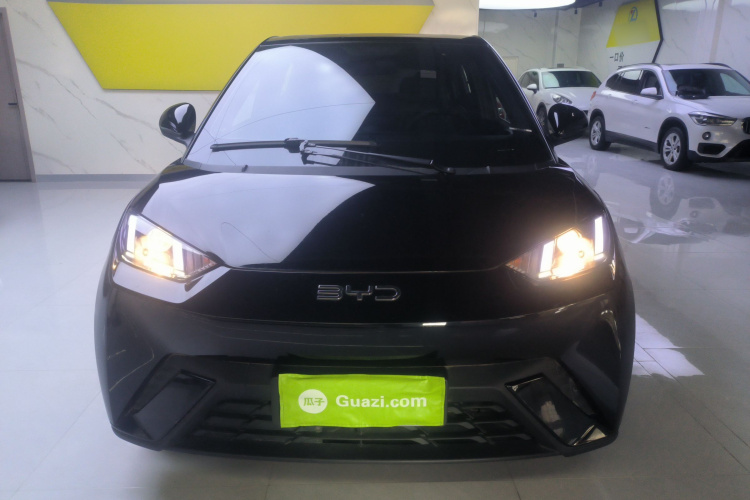 比亚迪 海鸥 2024款 荣耀版 305km 活力版车身外观2