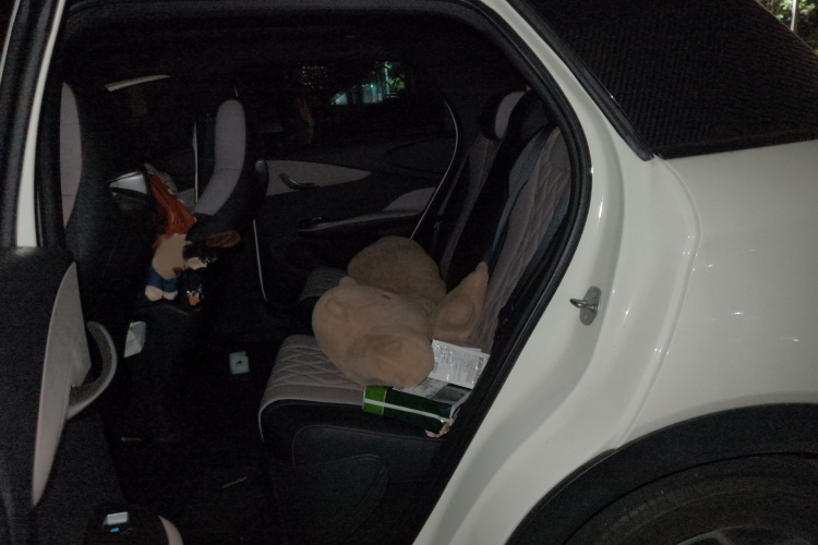 比亚迪 海豚 2021款 405km 时尚版中控内饰7004