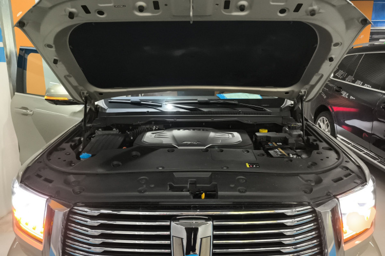 坦克500 2022款 3.0T 商务版 造境型 5座机舱底盘24