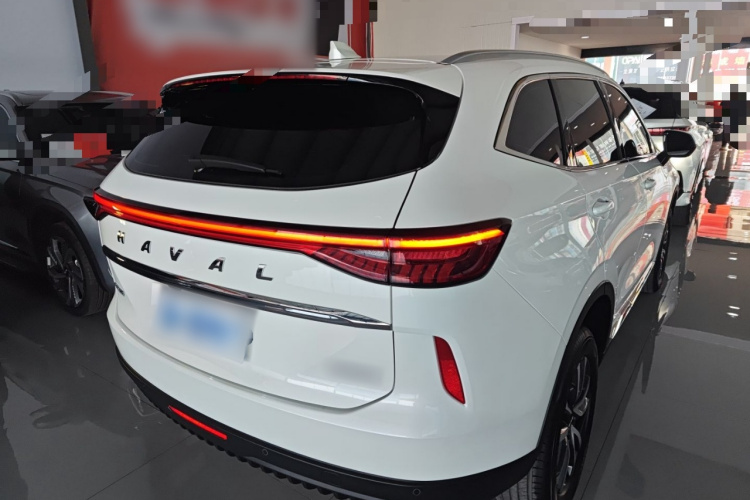 哈弗H6 2024款 1.5T 两驱经典版车身外观7