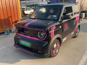 吉利银河 2025款 210km 熊猫卡丁