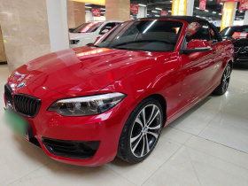 宝马2系(进口) 2019款 225i 敞篷轿跑车 运动设计套装