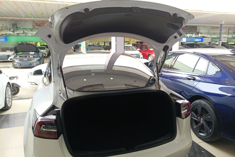 特斯拉 Model 3 2020款 改款 标准续航后驱升级版局部细节23