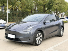 特斯拉 Model Y 2021款 长续航全轮驱动版 3D7