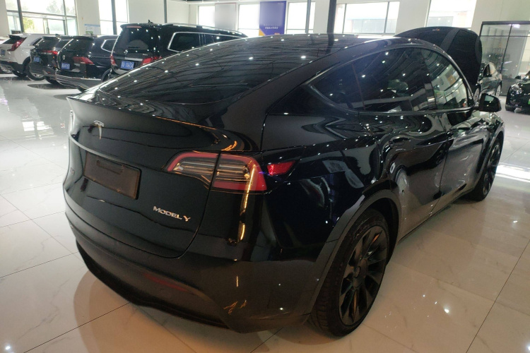 特斯拉 Model Y 2021款 标准续航后驱版车身外观7