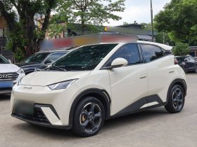 比亚迪 海鸥 2023款 飞翔版