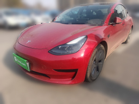 特斯拉 Model 3 2021款 标准续航后驱升级版