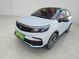 睿蓝汽车 枫叶30X 2020款 智行版