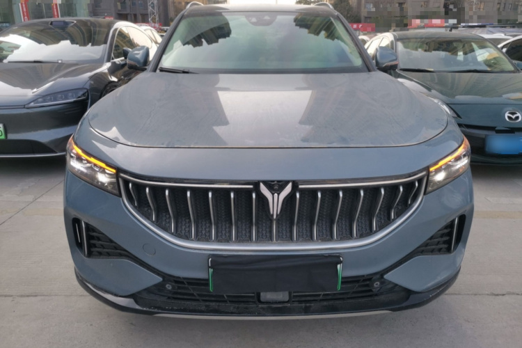 岚图汽车 岚图FREE 2021款 四驱标准纯电专属豪华套装车身外观2