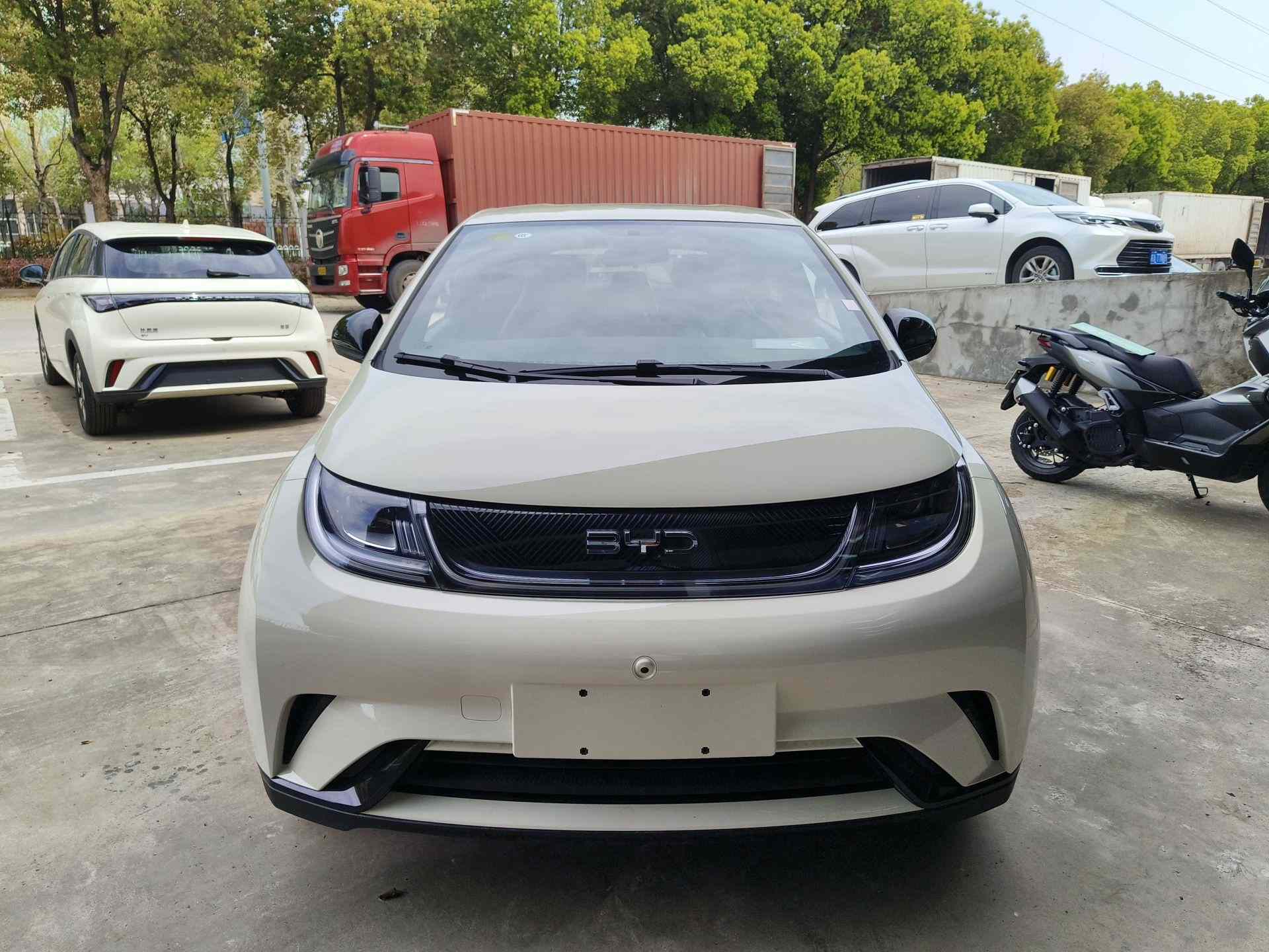 比亚迪 海豚 2025款 420km 自由版(1)