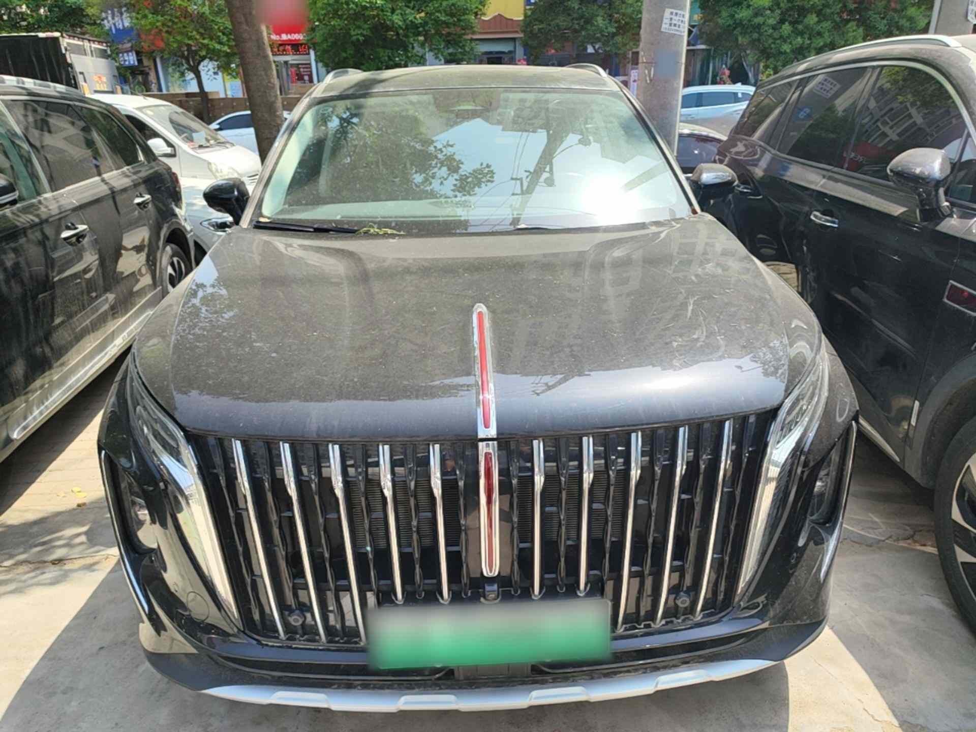 红旗HS7 PHEV 2024款 2.0T PHEV 四驱旗畅版 7座(1)