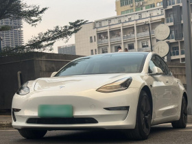 特斯拉 Model 3(进口) 2019款 长续航后驱版