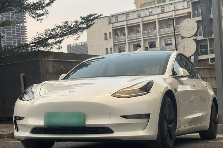 特斯拉 Model 3(进口) 2019款 长续航后驱版车身外观1