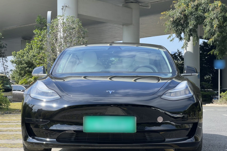 特斯拉 Model 3 2020款 标准续航后驱升级版车身外观6003