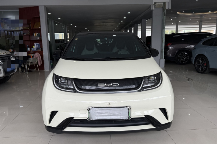 比亚迪 海豚 2021款 405km 自由版车身外观6005