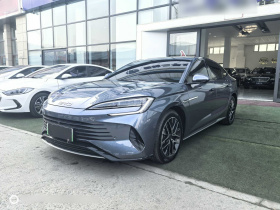 比亚迪 海豹 2024款 荣耀版 DM-i 1.5L 121km 尊贵型