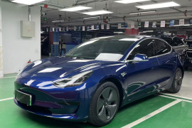 特斯拉 Model 3 2020款 改款 标准续航后驱升级版