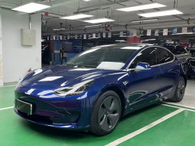 特斯拉 Model 3 2020款 改款 标准续航后驱升级版