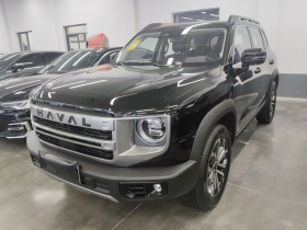 哈弗大狗 2024款 1.5T DCT边牧版