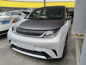 比亚迪 海豚 2021款 405km 时尚版