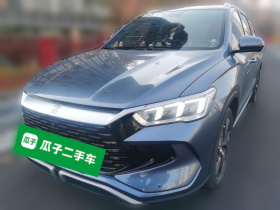比亚迪 宋Pro新能源 2023款 冠军版 DM-i 110KM卓越型