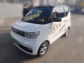 五菱汽车 宏光MINIEV 2020款 自在款 磷酸铁锂