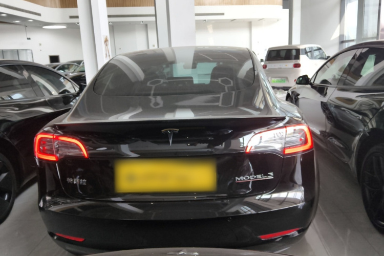 特斯拉 Model 3 2022款 Performance高性能全轮驱动版车身外观6004