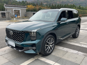 广汽传祺 传祺GS8 2022款 领航系列 2.0TGDI 两驱尊贵版（七座）