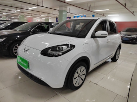 五菱汽车 五菱缤果 2024款 203km 轻享款