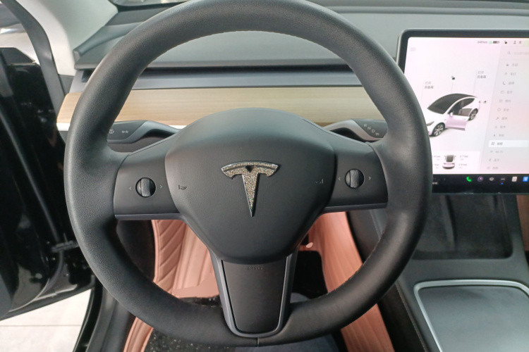 特斯拉 Model Y 2021款 标准续航后驱版中控内饰13