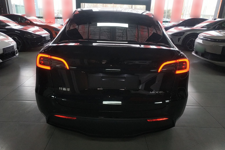 特斯拉 Model Y 2022款 长续航全轮驱动版车身外观6