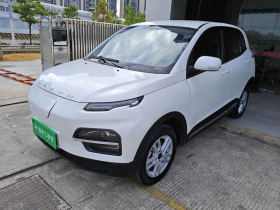 大运 悦虎 2022款 30.66kWh 两驱标准版