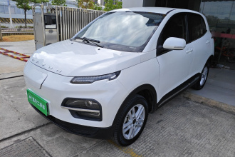 大运 悦虎 2022款 30.66kWh 两驱标准版