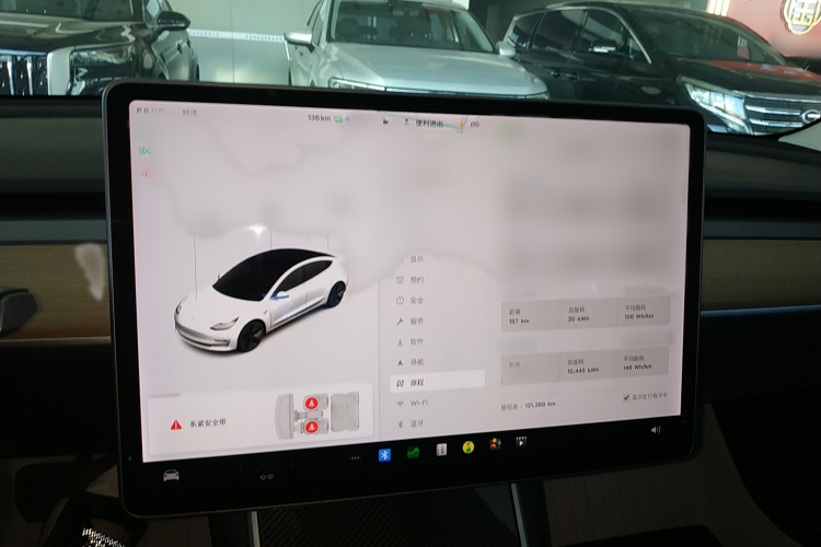 特斯拉 Model 3(进口) 2019款 标准续航后驱升级版(60度)局部细节14