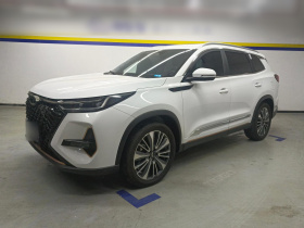 奇瑞 瑞虎8 PRO 2024款 冠军版 390T 两驱巅峰版 5座