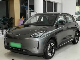 吉利银河 星愿 2025款 310km 梦想版