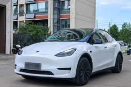 特斯拉 Model Y 2024款 后轮驱动版