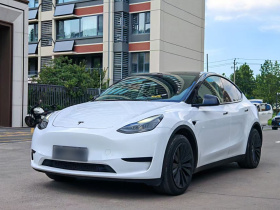 特斯拉 Model Y 2024款 后轮驱动版