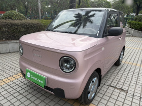 吉利银河 2023款 熊猫mini 200km 耐力熊