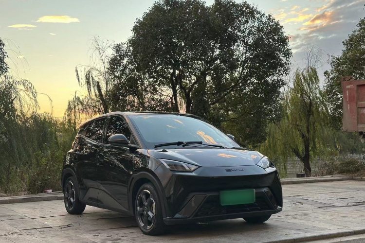 比亚迪 海鸥 2023款 飞翔版车身外观6002