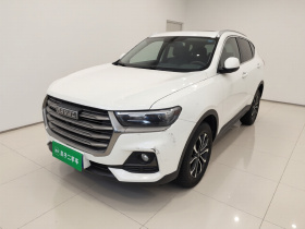 哈弗H6 2021款 国潮版 1.5T 自动都市版