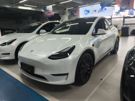 特斯拉 Model Y 2021款 Performance高性能全轮驱动版